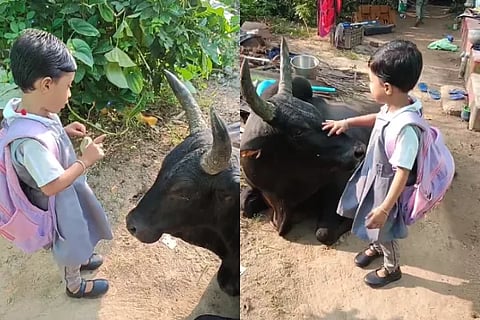 viral video