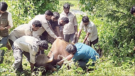 01_11_2025_BGR_RURAL_PAGE_2