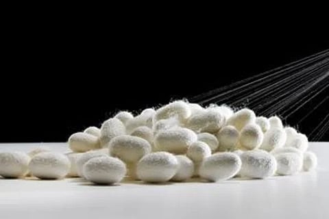 Untitled design (1)