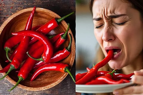 Chili pepper