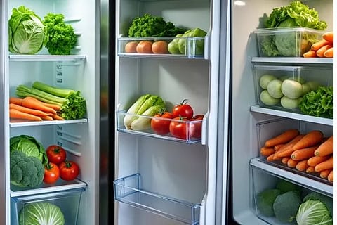 Fridge