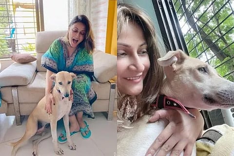 urvashi-dhokhalia-