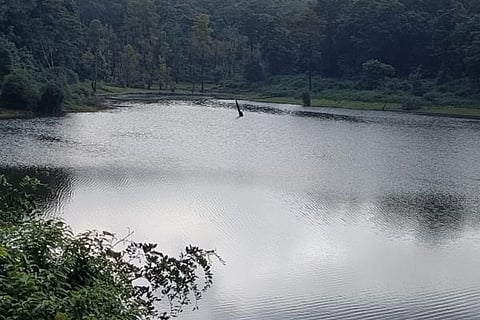 vaddaramadu