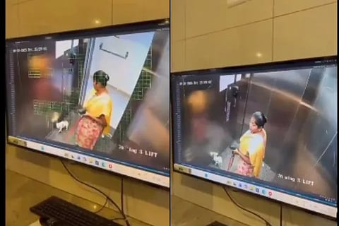 viral