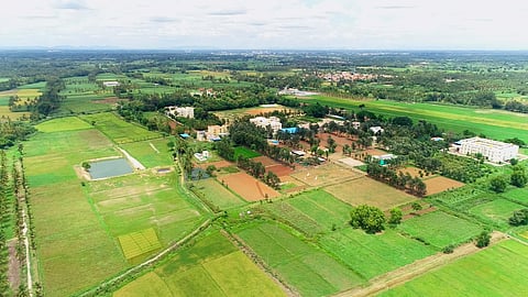 ಮಂಡ್ಯ ತಾಲೂಕು ವಿ.ಸಿ ಫಾರಂನ ಹೊರನೋಟ.