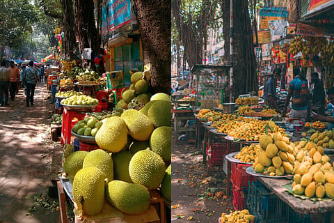 Mango-Jackfruit Festival