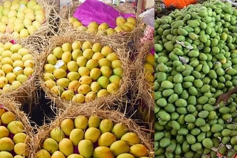 ಮಾವು