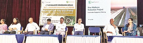 ಎಚ್.ಡಿ.ಕೋಟೆ ಪಟ್ಟಣದ ಡಾ.ಬಿ.ಆರ್.ಅಂಬೇಡ್ಕರ್ ಸಮುದಾಯ ಭವನದಲ್ಲಿ ಆಯೋಜಿಸಿದ್ದ ಸಮಾಲೋಚನಾ ಕಾರ್ಯಕ್ರಮದಲ್ಲಿ ಗಣ್ಯರು ಭಾಗವಹಿಸಿದ್ದರು. ಬಿ.ಮಹೇಶ್, ಕೆ.ಕೆ.ರಘುಪತಿ, ಬಿ.ಪಿ.ಗಂಗಾಧರ ಸ್ವಾಮಿ, ಕೃಷ್ಣರಾಜ,ಸೌಮ್ಯಾರಾಖಿ ಇತರರಿದ್ದರು.