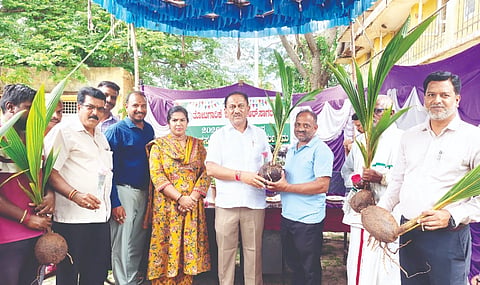 ಕೆಆರ್‌ಎಸ್‌ನ ತೋಟಗಾರಿಕೆ ಕಚೇರಿಯಲ್ಲಿ ರೈತರಿಗೆ ತೆಂಗಿನ ಸಸಿಗಳನ್ನು ಶಾಸಕ ರಮೇಶ ಬಂಡಿಸಿದ್ದೇಗೌಡ ವಿತರಿಸಿದರು. ಫಾರೂಕ್ ಅಭು, ಸೌಮ್ಯಾ, ಚೈತ್ರಾ ಇತರರು ಇದ್ದರು.