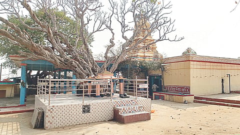 ಶ್ರೀ ಸಿದ್ದೇಶ್ವರ ಸ್ವಾಮಿಯ ದೇವಸ್ಥಾನ.