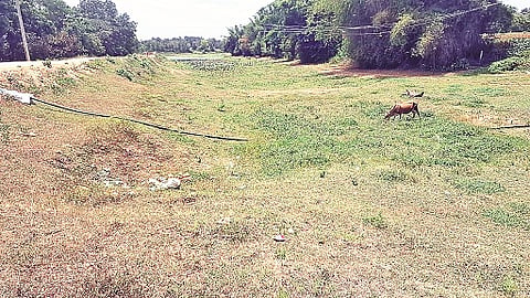 ನೀರಿಲ್ಲದೆ ಭತ್ತಿ ಹೋಗಿರುವ ಪಡುವಳಲು ಕೆರೆ.