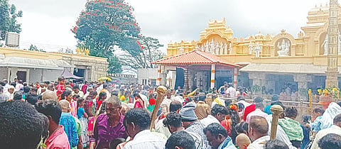 ಯಳಂದೂರು ತಾಲೂಕಿನ ಬಿಳಿಗಿರಿರಂಗನಬೆಟ್ಟಕ್ಕೆ ಗುರುವಾರ ಹೊಸ ವರ್ಷ ಪ್ರಯುಕ್ತ ಹೆಚ್ಚಿನ ಸಂಖ್ಯೆಯಲ್ಲಿ ಜನರು ಆಗಮಿಸಿ ದೇವರ ದರ್ಶನ ಪಡೆದರು.