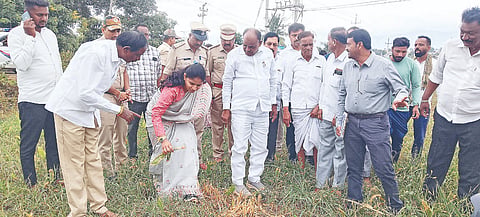 ಹನೂರು ತಾಲೂಕಿನ ಹುತ್ತೂರು ಗ್ರಾಮದ ಜಮೀನಿನಲ್ಲಿ ಸಚಿವ ಸಿ.ಪುಟ್ಟರಂಗಶೆಟ್ಟಿ ಬರ ಅಧ್ಯಯನ ನಡೆಸಿದರು. ಶಾಸಕ ಎಂ.ಆರ್.ಮಂಜುನಾಥ್, ಮಾಜಿ ಶಾಸಕ ಆರ್.ನರೇಂದ್ರ, ಜಿಲ್ಲಾಧಿಕಾರಿ ಶ್ರೀರೂಪಾ, ಜಿಪಂ ಸಿಇಒ ಮೋನಾ ರೋತ್ ಇತರರು ಇದ್ದರು.