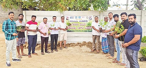 ಮದ್ದೂರು ನಗರದ ರೋಟರಿ ಸಂಸ್ಥೆ ಆವರಣದಲ್ಲಿ ರೋಟರಿ ಸಂಸ್ಥೆ ಅಧ್ಯಕ್ಷ ಕದಲೂರು ಲೋಕೇಶ್ ರೈತರಿಗೆ ತುರಬೇವು ಸಸಿಗಳನ್ನು ವಿತರಿಸಿದರು. ಗವಿಯಪ್ಪ, ಪ್ರವೀಣ್, ಹೊನ್ನೇಗೌಡ, ಕುಮಾರ್, ಪ್ರಕಾಶ್, ವೆಂಕಟೇಶ್, ಅಭಿಷೇಕ್ ಇದ್ದರು.