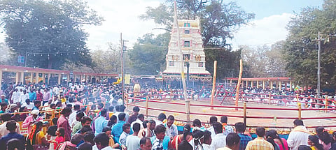 ಚಿಕ್ಕಲ್ಲೂರು ಜಾತ್ರೆ 