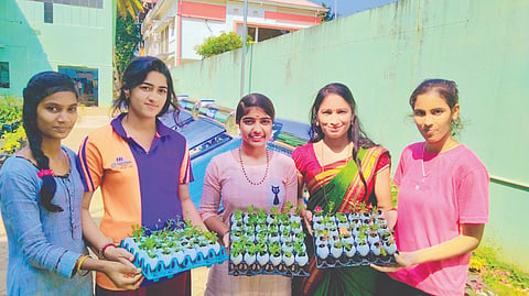  ಕುಂದಾಪುರ ತಾಲೂಕಿನ ಹಿಂದುಳಿದ ವರ್ಗಗಳ ವಿದ್ಯಾರ್ಥಿ ನಿಲಯದಲ್ಲಿ ವಿದ್ಯಾರ್ಥಿಗಳು ಬೆಳೆಸಿದ ತರಕಾರಿ ಗಿಡಗಳು.