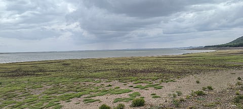 ತುಂಗಭದ್ರಾ ಜಲಾಶಯ ಹಿನ್ನೀರಿನ ನೋಟ