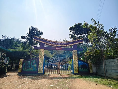 ಸಾಲು ಮರದ ತಿಮ್ಮಕ್ಕ ವೃಕ್ಷ ವನದ ಹೋರ ನೋಟ.