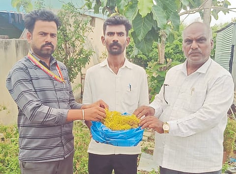 ಚಿಂಚೋಳಿ ತಾಲೂಕಿನ ಗಾರಂಪಳ್ಳಿಯ ರೈತ ಗೋಪಾಲ ಎಂಬುವವರಿಂದ ಕಸ್ಕೋಟಾ ಕಳೆ ಬೆಳೆಯನ್ನು ಬೆಂಗಳೂರಿನ ಪ್ರಯೋಗಾಲಯಕ್ಕೆ ಕೊಂಡೊಯ್ಯುತ್ತಿರುವ ಪಶು ಇಲಾಖೆ ಅಧಿಕಾರಿಗಳು. ಡಾ.ಮಸ್ತಾನ್​ ಅಲಿ, ಡಾ. ಸಂಕೇತ ಇದ್ದರು.