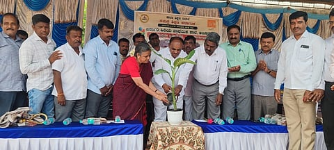 ಚಾಮರಾಜನಗರ ತಾಲೂಕಿನ ಆಲೂರಿನ ಸರ್ಕಾರಿ ಹಿರಿಯ ಪ್ರಾಥಮಿಕ ಶಾಲೆಯಲ್ಲಿ ಚಾರು ಸಾಂಸ್ಕೃತಿಕ ಪ್ರತಿಷ್ಠಾನ, ಶಾಲಾ ಶಿಕ್ಷಣಇಲಾಖೆ  ಸಹಯೋಗದಲ್ಲಿ ಶುಕ್ರವಾರ ಆಯೋಜಿಸಿದ್ದ ಪೂರ್ವ ಪ್ರಾಥಮಿಕ ಶಾಲೆ (ಎಲ್‌ಕೆಜಿ, ಯುಕೆಜಿ) ಪ್ರಾರಂಭ ಸಮಾರಂಭವನ್ನು ಶಾಸಕ ಸಿ. ಪುಟ್ಟರಂಗಶೆಟ್ಟಿ ಉದ್ಘಾಟಿಸಿದರು. ಶೀಲಾಕುಮಾರಿ, ಚಂದ್ರಪಾಟೀಲ್, ಹನುಮಶೆಟ್ಟಿ,  ಜಿ.ಎಂ.ರವಿಶಂಕರಮೂರ್ತಿ, ಸಿಆರ್‌ಪಿ ನಂಜುಂಡಸ್ವಾಮಿ ಇತರರಿದ್ದರು.