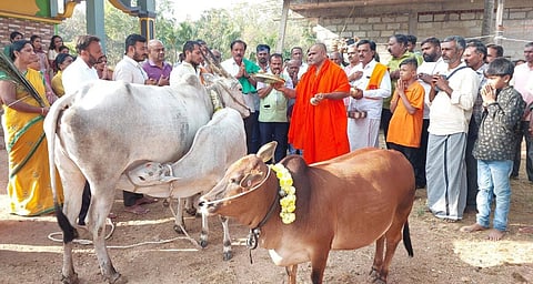 ಕಿಕ್ಕೇರಿ ಸಮೀಪದ ಬೆಡದಹಳ್ಳಿಯ ಪಂಚಭೂತೇಶ್ವರ ಮಠದಲ್ಲಿ ಇತ್ತೀಚೆಗೆ ನಡೆದ ಪಂಚಗವ್ಯ ಚಿಕಿತ್ಸಾ ಶಿಬಿರದಲ್ಲಿ ಗೋವುಗಳಿಗೆ ಪೂಜೆ ಸಲ್ಲಿಸಲಾಯಿತು. ಶ್ರೀ ನಿಶ್ಚಲಾನಂದನಾಥ ಸ್ವಾಮೀಜಿ, ರುದ್ರಮುನಿ ಸ್ವಾಮೀಜಿ, ಪುನೀತ್, ಪ್ರವೀಣ್ ಸರಳಾಯ, ಕಾಂತರಾಜು ಇದ್ದರು.