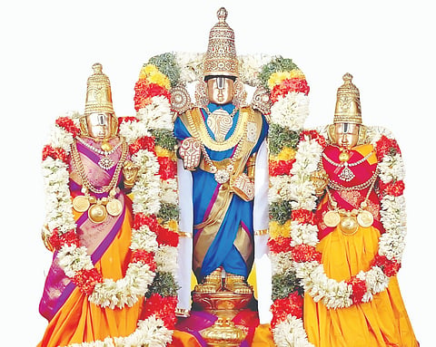 ಅರಸಿಕೆರೆ ತಾಲೂಕಿನ ಗಂಡಸಿ ಹೋಬಳಿಯ ಮುದುಡಿ ಗ್ರಾಮದಲ್ಲಿ ಶ್ರೀನಿವಾಸ ಕಲ್ಯಾಣ ಮಹೋತ್ಸವಕ್ಕೆ ಸಿದ್ಧತೆ ನಡೆಯುತ್ತಿರುವುದು. 