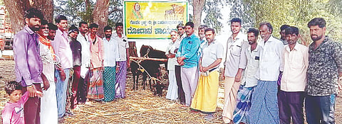  ಭದ್ರಯ್ಯನಹಳ್ಳಿ ಗ್ರಾಮದಲ್ಲಿ ಶ್ರೀ ರಾಮಚಂದ್ರಪುರ ಮಠದ ಶ್ರೀ ರಾಘವೇಶ್ವರ ಭಾರತಿ ಸ್ವಾಮೀಜಿ ಅವರ ದೇಸಿ ಆಕಳುಗಳ ಸಂರಕ್ಷಣೆ ಮಹಾ ಸಂಕಲ್ಪದ ಅಂಗವಾಗಿ ಗೋಫಲ ಟ್ರಸ್ಟ್ ವತಿಯಿಂದ ಗೋವುಗಳನ್ನು ದಾನ ನೀಡಲಾಯಿತು. ಕುಮಾರ, ನಾಗರಾಜು, ಮುತ್ತಯ್ಯ ಇತರರು ಇದ್ದರು. 