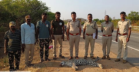 ಹೊಸಪೇಟೆ ಅಪರಿಚಿತ ವಾಹನ ಡಿಕ್ಕಿ ಹೊಡೆದ ಪರಿಣಾಮ ಅಂದಾಜು ಮೂರು ವರ್ಷದ ಗಂಡು ಚಿರತೆ ತಾಲೂಕಿನ ಚಿಲಕನಟ್ಟಿಯ ರಾಷ್ಟ್ರೀಯ ಹೆದ್ದಾರಿ 50ರಲ್ಲಿ ಶುಕ್ರವಾರ ನಡೆದಿದೆ.
