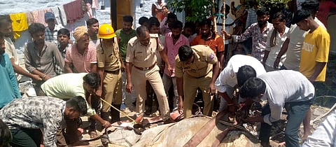 ಚಿಂಚೋಳಿಯ ಭೋವಿಗಲ್ಲಿ ಬಡಾವಣೆಯ ತೆರೆದ ಬಾವಿಗೆ ಬಿದ್ದಿದ್ದ ಹಸುವನ್ನು ಅಗ್ನಿಶಾಮಕದಳ ಸಿಬ್ಬಂದಿ ರಕ್ಷಣೆ ಮಾಡಿರುವುದು.