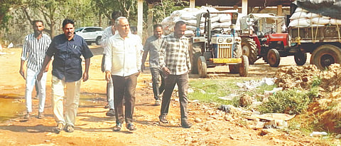 Modern sheep and goat breeding center to be established soon