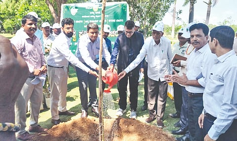 ಯಾದಗಿರಿ ನಗರದ ಲುಂಬಿನಿ ವನದಲ್ಲಿ ಶುಕ್ರವಾರ ಸಸಿ ನೆಡುವ ಮೂಲಕ ವಿಶ್ವ ಪರಿಸರ ದಿನಾಚರಣೆಗೆ ಜಿಲ್ಲಾ ಉಸ್ತುವಾರಿ ಕಾರ್ಯದರ್ಶಿ ಮನೋಜ್​ ಜೈನ ಚಾಲನೆ ನೀಡಿದರು. ಜಿಲ್ಲಾಧಿಕಾರಿ ರಾಹುಲ್​ ತುಕರಾಮ್​ ಪಾಂಡ್ವೆ, ಜಿಪಂ ಸಿಇಒ ಲವೀಶ್​ ಒರ್ಡಿಯಾ, ಯುಡಾ ಅಧ್ಯ ಬಾಬುರಾವ ಕಾಡ್ಲೂರ್​ ಇತರರಿದ್ದರು.