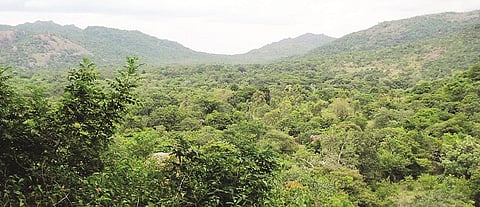 ಹಿರೇಕಲ್ ಗುಡ್ಡದ ವಿಹಂಗಮ ನೋಟ.
