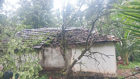 ಕರ್ಕುಂಜೆ ಗ್ರಾಮದ ಕುಂಟನೆರಳು ಎಂಬಲ್ಲಿನ ಮುತ್ತು ಎಂಬುವರ ಮನೆ ಮೇಲೆ ಮರ ಬಿದ್ದಿದೆ.