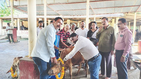 ರಾಷ್ಟ್ರೀಯ ಜಾನುವಾರು ರೋಗ ನಿಯಂತ್ರಣ ಕಾರ್ಯಕ್ರಮದಡಿಯಲ್ಲಿ 8ನೇ ಸುತ್ತಿನ ಕಾಲುಬಾಯಿ ರೋಗ ಲಸಿಕಾ ಅಭಿಯಾನಕ್ಕೆ ಅಸೋಡು ಕಾಮಧೇನು ಗೋಶಾಲೆಯಲ್ಲಿ ಚಾಲನೆ ನೀಡಲಾಯಿತು. 