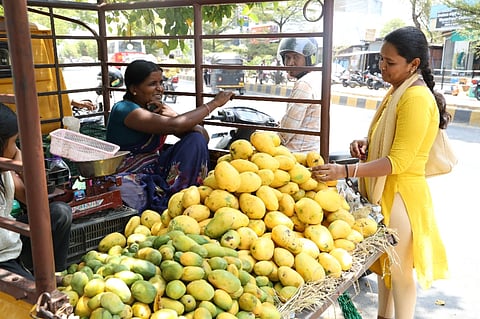 ರಾಯಚೂರಿನ ಬಸವೇಶ್ವರ ವೃತ್ತದಲ್ಲಿ ಮಾವು ಬೆಳೆಗಾರರು ಮಾವು ಮಾರಾಟ ಮಾಡುತ್ತಿರುವುದು.