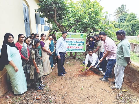 ಸುಂಟಿಕೊಪ್ಪ ಸರ್ಕಾರಿ ಮಾದರಿ ಪ್ರಾಥಮಿಕ ಶಾಲೆಯಲ್ಲಿ ಶಾಲಾಭಿವೃದ್ಧಿ ಸಮಿತಿ ಗೌರವಾಧ್ಯಕ್ಷ ರಫೀಕ್ ಖಾನ್ ಅವರು ಗಿಡ ನೆಟ್ಟರು.