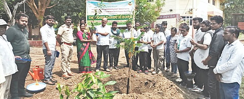 environment day