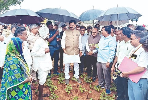 ಮಳೆ ನಡುವೆ ರಾಜೂರು ಗ್ರಾಮದ ರೈತ ಮಹಿಳೆ ಸಫಿಯಾಬೇಗಂ ನದಾಫ್ ಅವರ ಜಮೀನಿಗೆ ಸಚಿವರಾದ ಶಿವರಾಜ ತಂಗಡಗಿ ಹಾಗೂ ಬಸವರಾಜ ರಾಯರಡ್ಡಿ ಭೇಟಿ ನೀಡಿ ಹೆಸರು ಬೆಳೆ ವೀಕ್ಷಿಸಿದರು. ಡಿಸಿ ಸುರೇಶ ಬಿ. ಇಟ್ನಾಳ, ಜಿಲ್ಲಾ ಉಸ್ತುವಾರಿ ಕಾರ್ಯದರ್ಶಿ ಕೆ.ಪಿ ಮೋಹನರಾಜ್, ಜಂಟಿ ಕೃಷಿ ನಿರ್ದೇಶಕ ಕೃಷ್ಣಮೂರ್ತಿ, ಎಸ್ಪಿ ಡಾ.ರಾಮ್ ಎಲ್ ಅರಸಿದ್ದಿ ಇತರರಿದ್ದರು.