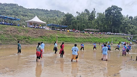 ಸೋಮವಾರಪೇಟೆ ತಾಲೂಕಿನ ಕೂಗೂರು ಗ್ರಾಮದ ದೇವರಾಜು ಅವರ ಗದ್ದೆಯಲ್ಲಿ ಭಾನುವಾರ ಒಕ್ಕಲಿಗರ ಯುವ ವೇದಿಕೆ ವತಿಯಿಂದ ಆಯೋಜಿಸಲಾಗಿದ್ದ 10ನೇ ವರ್ಷದ ಜಿಲ್ಲಾ ಮಟ್ಟದ ಕೆಸರುಗದ್ದೆ ಕ್ರೀಡಾಕೂಟದಲ್ಲಿ ಮಾಹಿಳಾ ಥ್ರೋಬಾಲ್ ಗಮನ ಸೆಳೆಯಿತು. 