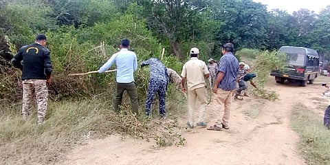 ಗುಂಡ್ಲುಪೇಟೆ ತಾಲೂಕಿನ ಮೇಲುಕಾಮನಹಳ್ಳಿ ಸಮೀಪ ಅರಣ್ಯ ಇಲಾಖೆಯ ಸಫಾರಿ ಸಿಬ್ಬಂದಿ ಶ್ರಮದಾನ ಮಾಡುವ ಮೂಲಕ ಕಳೆಗಳನ್ನು ತೆರವುಗೊಳಿಸುತ್ತಿದ್ದಾರೆ.