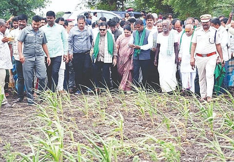 ಕೊಟ್ಟೂರು ತಾಲೂಕಿನ ಗಜಾಪುರದಲ್ಲಿ ಜಿಲ್ಲಾ ಉಸ್ತುವಾರಿ ಸಚಿವ ಜಮೀರ್ ಅಹಮದ್‌ಖಾನ್ ಬರ ವೀಕ್ಷಣೆ ಮಾಡಿದರು. ಶಾಸಕರಾದ ಲತಾ ಮಲ್ಲಿಕಾರ್ಜುನ, ಡಾ.ಎನ್.ಟಿ. ಶ್ರೀನಿವಾಸ್, ಡಿಸಿ ಕವಿತಾ ಎಸ್. ಮನ್ನಿಕೇರಿ, ಜಿಪಂ ಸಿಇಒ ನೋಂಗ್ಜಾಯ್ ಮೊಹಮ್ಮದ್ ಅಕ್ರಂ ಅಲಿ ಷಾ, ಎಸ್ಪಿ ಎಸ್. ಜಾಹ್ನವಿ, ಎಸಿ ವಿವೇಕಾನಂದ, ಜಿಲ್ಲಾ ಕೃಷಿ ಜಂಟಿ ನಿರ್ದೇಶಕ ಮಂಜುನಾಥ, ಉಪನಿರ್ದೇಶಕ ಕೊಳ್ಳಿ ವಾಮದೇವ, ತಹಸೀಲ್ದಾರ್ ವಿ.ಕೆ.ನೇತ್ರಾವತಿ ಇತರರಿದ್ದರು.