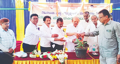 dairy-farming-contributes-to-economic-development