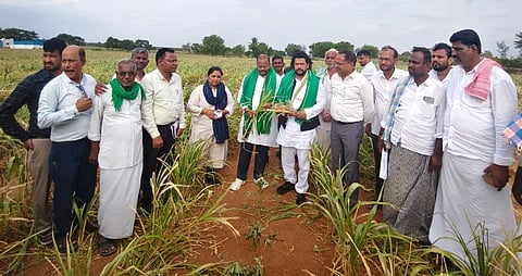 ಸಿರಗುಪ್ಪ ತಾಲೂಕಿನ ಸಿದ್ದರಾಂಪುರ ಗ್ರಾಮದ ಜಮೀನಿನಲ್ಲಿ ಬೆಳೆದಿರುವ ಸಜ್ಜೆ ಬೆಳೆ ಹಾಳಾಗಿರುವ ಬಗ್ಗೆ ಸಚಿವ ಬಿ.ನಾಗೇಂದ್ರ ಪರಿಶೀಲಿಸಿದರು. ಶಾಸಕ ಬಿ.ಎಂ.ನಾಗರಾಜ, ಡಿಸಿ ಕೆ.ನಾಗೇಂದ್ರ ಪ್ರಸಾದ್, ಕೃಷಿ ಇಲಾಖೆ ಜಂಟಿ ನಿರ್ದೇಶಕ ಕೆ.ಸೋಮಸುಂದರ್, ತಹಸೀಲ್ದಾರ್ ಗೌಸಿಯಾ ಬೇಗಂ ಇತರರಿದ್ದರು