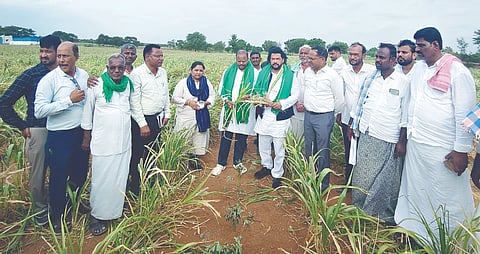 ಸಿರಗುಪ್ಪ ತಾಲೂಕಿನ ಸಿದ್ದರಾಂಪುರ ಗ್ರಾಮದ ಜಮೀನೊಂದರಲ್ಲಿ ಹಾಳಾಗಿರುವ ಸಜ್ಜೆ ಬೆಳೆಯನ್ನು ಸಚಿವ ಬಿ.ನಾಗೇಂದ್ರ ಪರಿಶೀಲಿಸಿದರು. ಶಾಸಕ ಬಿ.ಎಂ. ನಾಗರಾಜ, ಡಿಸಿ ಕೆ.ನಾಗೇಂದ್ರ ಪ್ರಸಾದ್, ಕೃಷಿ ಇಲಾಖೆ ಜಂಟಿ ನಿರ್ದೇಶಕ ಕೆ.ಸೋಮಸುಂದರ್, ತಹಸೀಲ್ದಾರ್ ಗೌಸಿಯಾ ಬೇಗಂ ಇತರರಿದ್ದರು.