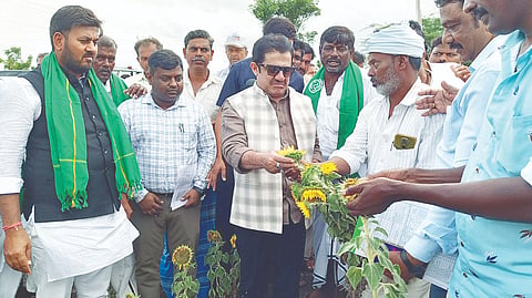 ಹೂವಿನಹಡಗಲಿ ತಾಲೂಕಿನ ಇಟ್ಟಿಗಿ ಗ್ರಾಮದ ಶಾರದಮ್ಮ ಅವರ ಜಮೀನಿನಲ್ಲಿ ಶುಕ್ರವಾರ ಜಿಲ್ಲಾ ಉಸ್ತುವಾರಿ ಸಚಿವ ಜಮೀರ್ ಅಹಮ್ಮದ್ ಖಾನ್ ಸೂರ್ಯಕಾಂತಿ ಬೆಳೆ ವೀಕ್ಷಿಸಿದರು. ಶಾಸಕ ಕೃಷ್ಣನಾಯ್ಕ, ಡಿಸಿ ಕವಿತಾ ಎಸ್. ಮನ್ನಿಕೇರಿ, ಜಿಪಂ ಸಿಇಒ ನೋಂಗ್ಜಾಯ್ ಮೊಹಮ್ಮದ್  ಅಕ್ರಂ ಅಲಿ ಇತರರಿದ್ದರು.