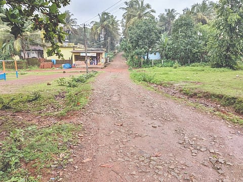  ಅಭಿವೃದ್ಧಿ ಕಾಣದ ಬಾಳಿಕೆರೆ ಕಾಲನಿ ರಸ್ತೆಯ ಸ್ಥಿತಿ.