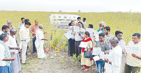 ಜನತಾಪುರ ಗ್ರಾಮದಲ್ಲಿ ತೊಗರಿ ಬೆಳೆ ಕ್ಷೇತ್ರೋತ್ಸವ ಕಾರ್ಯಕ್ರಮ ನಡೆಯಿತು.