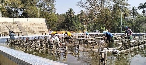   ಕೃಷ್ಣರಾಜಸಾಗರ ಅಣೆಕಟ್ಟೆಯ ಬೃಂದಾವನದಲ್ಲಿನ ದೋಣಿ ವಿಹಾರ ಕೇಂದ್ರ ಬಳಿಯಿರುವ ಚಿಕ್ಕ ಕಾವೇರಿ ಪ್ರತಿಮೆ ಆವರಣ ಸುತ್ತಮುತ್ತ ಸುರಕ್ಷತಾ ಗ್ರಿಲ್‌ಗಳನ್ನು ಅಳವಡಿಸಿರುವುದು  
