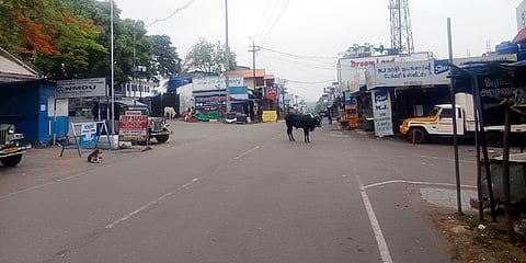 ಮಸಣಿಗುಡಿಯಲ್ಲಿ ವ್ಯಾಪಾರಸ್ಥರು ಅಂಗಡಿ ಬಂದ್ ಮಾಡಿ ಹಾಗೂ ವಾಹನ ಚಾಲಕರು ತಮ್ಮ ವಾಹನ ನಿಲ್ಲಿಸಿ ಬಂದ್ ಆಚರಿಸುತ್ತಿರುವುದು. 