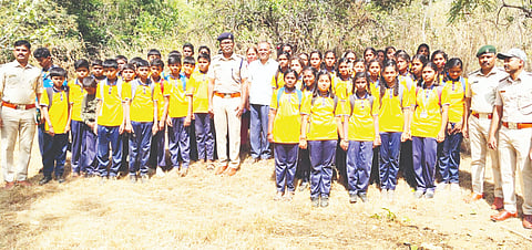 Forest conservation is everyone's responsibility.